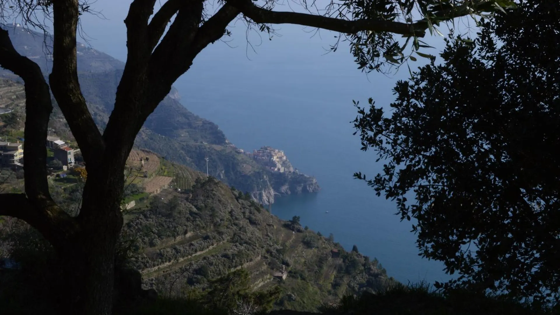 Villa I Tre Grappoli Corniglia
