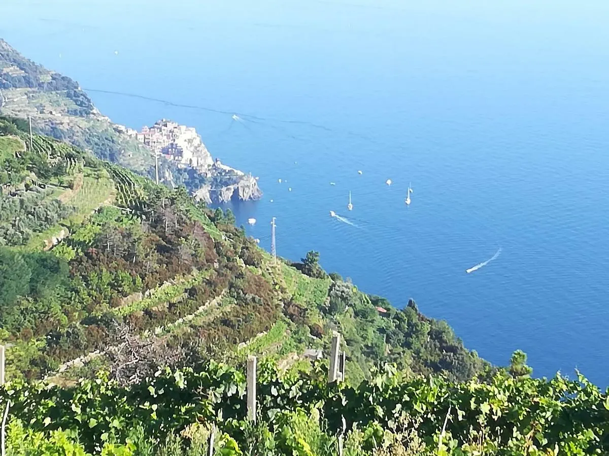 Villa I Tre Grappoli Corniglia Italia